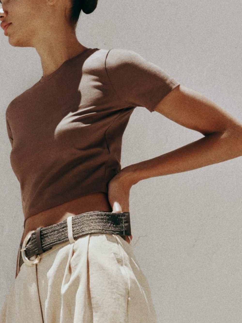 Zara Brown Cropped Short-Sleeve Top